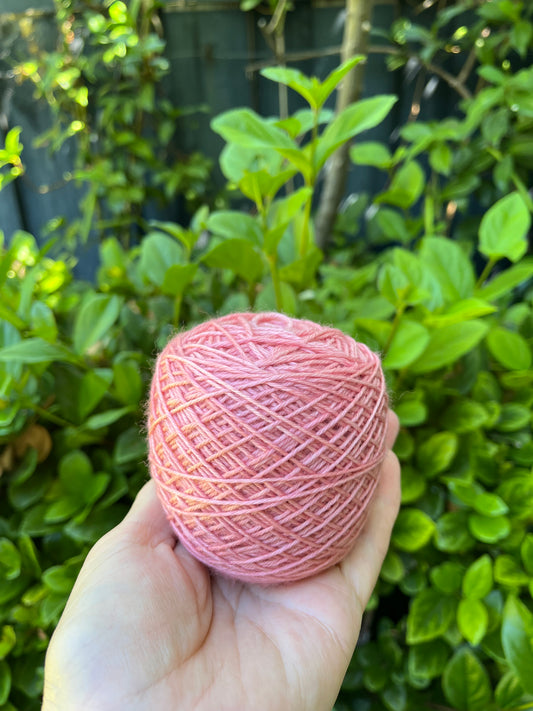 Dusky Peach